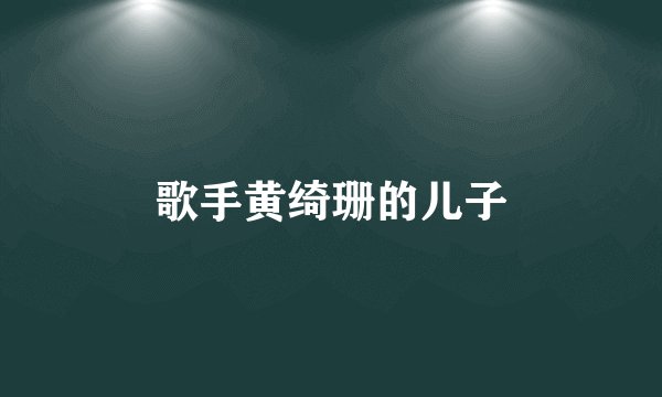 歌手黄绮珊的儿子