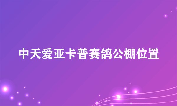 中天爱亚卡普赛鸽公棚位置
