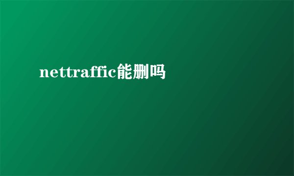 nettraffic能删吗