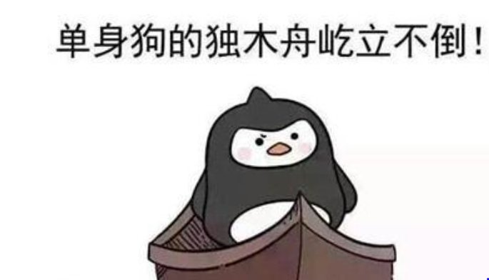母单到底是什么梗呢?