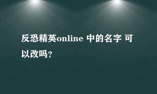 反恐精英online 中的名字 可以改吗？