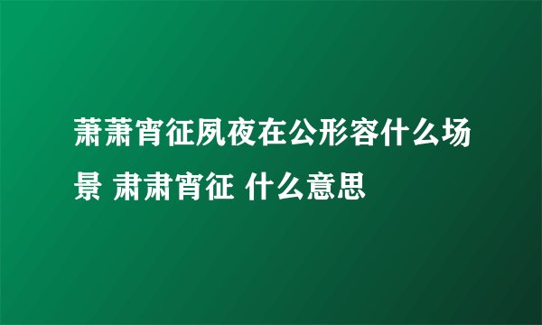 萧萧宵征夙夜在公形容什么场景 肃肃宵征 什么意思