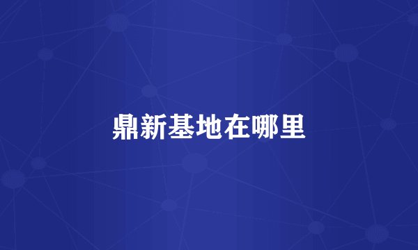鼎新基地在哪里