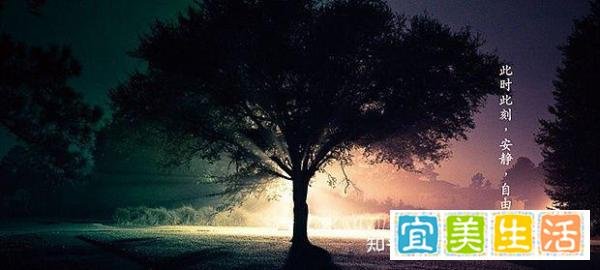 感觉累了就放空自己