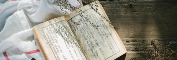 秦桧的下场 满江红中秦桧的下场