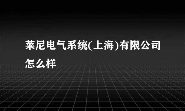 莱尼电气系统(上海)有限公司怎么样