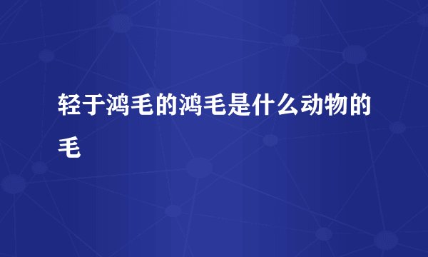 轻于鸿毛的鸿毛是什么动物的毛