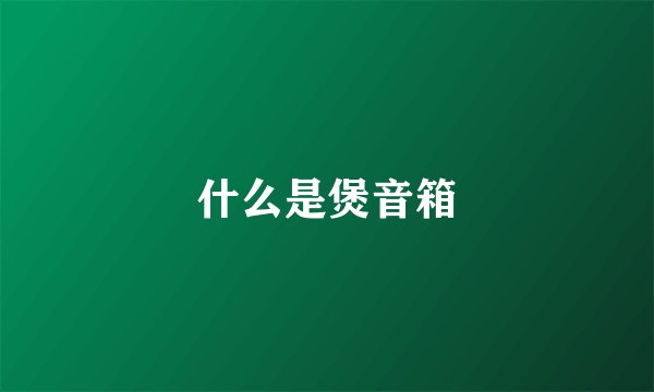 什么是煲音箱