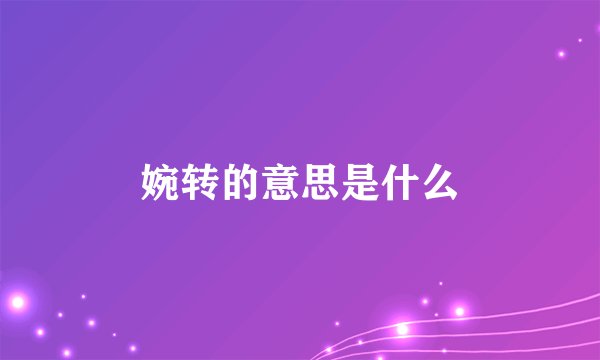 婉转的意思是什么