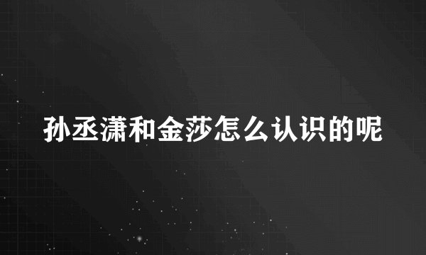 孙丞潇和金莎怎么认识的呢