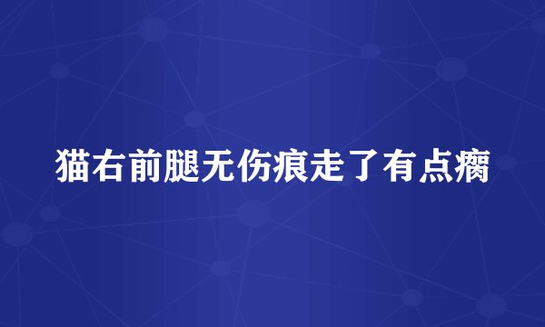 猫右前腿无伤痕走了有点瘸