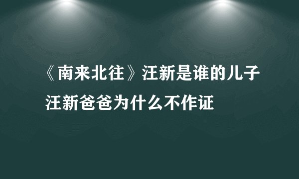 《南来北往》汪新是谁的儿子 汪新爸爸为什么不作证