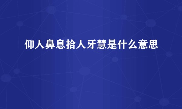 仰人鼻息拾人牙慧是什么意思