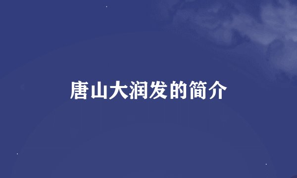 唐山大润发的简介