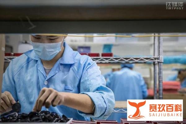 本科生将学历改高中收几十个面试邀请,曾投递几百份简历石沉大海