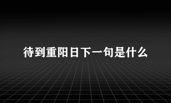 待到重阳日下一句是什么