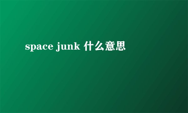 space junk 什么意思