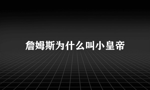 詹姆斯为什么叫小皇帝