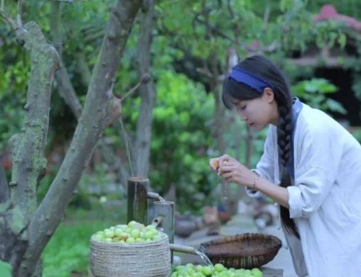 李子柒发布律师函，否认改名为李佳佳，这是怎么回事？
