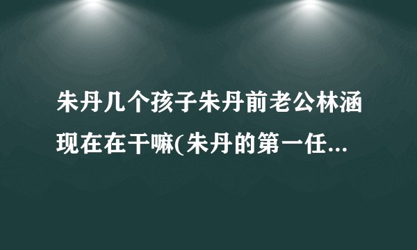 朱丹几个孩子朱丹前老公林涵现在在干嘛(朱丹的第一任丈夫林涵现状)