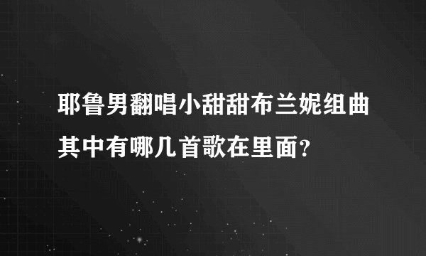 耶鲁男翻唱小甜甜布兰妮组曲其中有哪几首歌在里面？