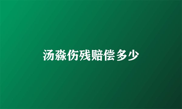 汤淼伤残赔偿多少