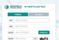 国网电子商务招标平台2.0供应商注册登录流程及相关注意事项