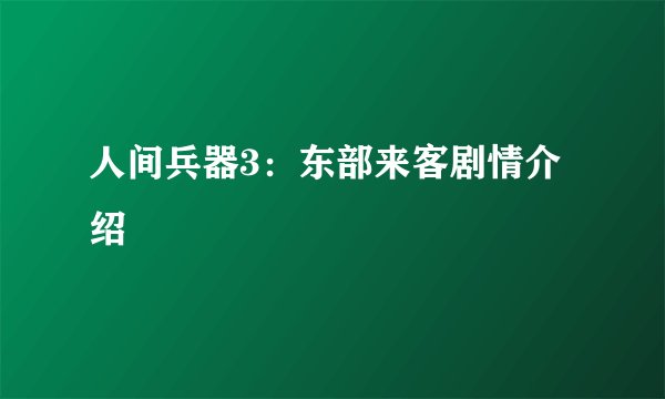 人间兵器3:东部来客剧情介绍
