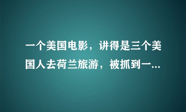 一个美国电影，讲得是三个美国人去荷兰旅游，被抓到一个杀人工厂的故事