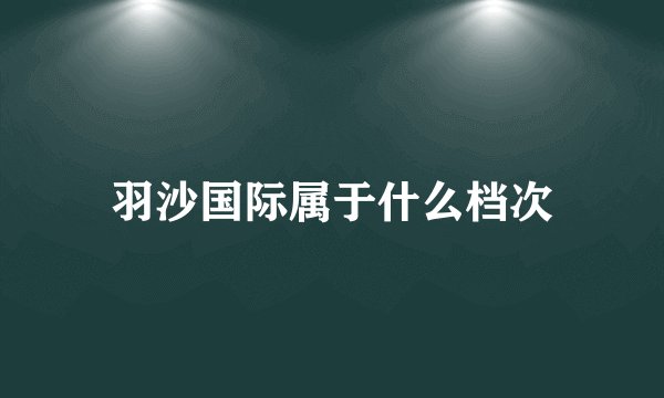 羽沙国际属于什么档次