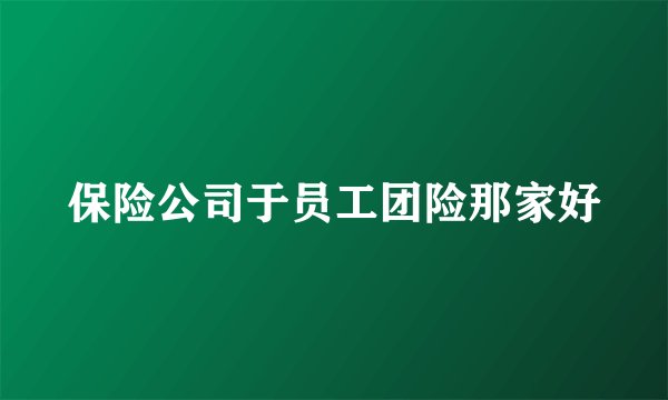 保险公司于员工团险那家好