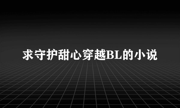 求守护甜心穿越BL的小说