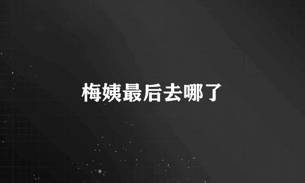 梅姨最后去哪了