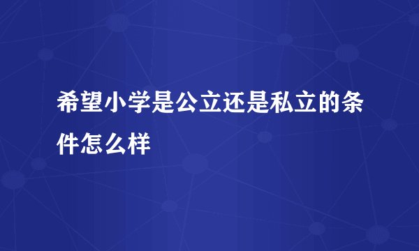希望小学是公立还是私立的条件怎么样