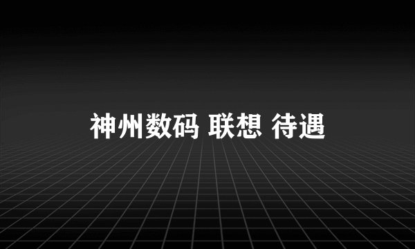 神州数码 联想 待遇