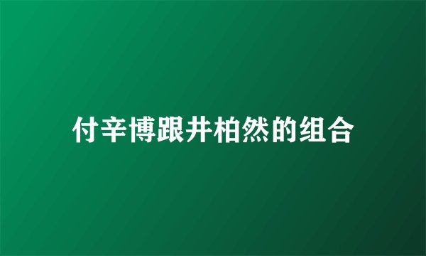 付辛博跟井柏然的组合