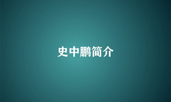 史中鹏简介