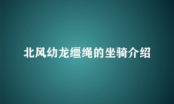 北风幼龙缰绳的坐骑介绍
