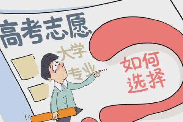 单设志愿是什么意思?