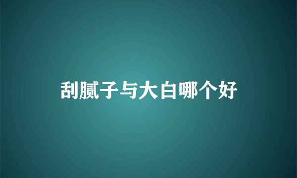 刮腻子与大白哪个好