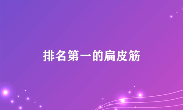排名第一的扁皮筋