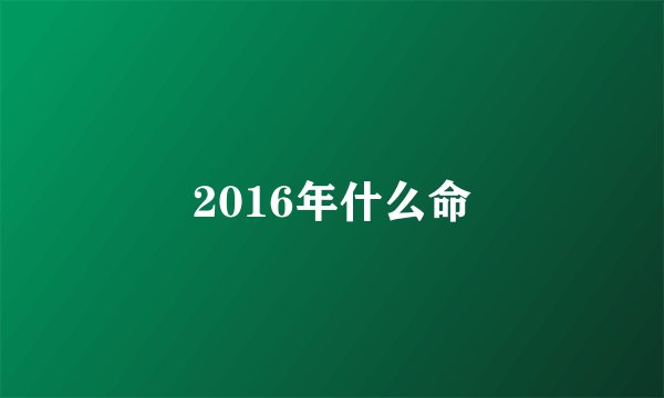2016年什么命