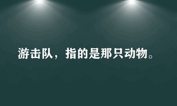 游击队,指的是那只动物。