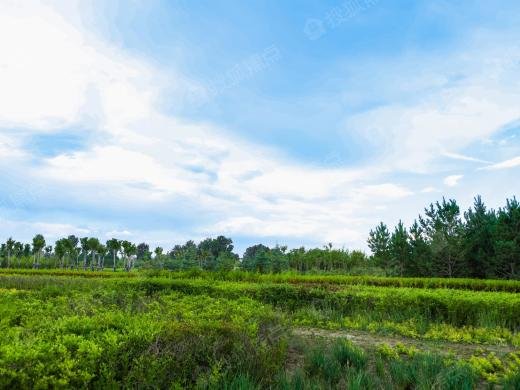 濮阳中房·锦绣龙城交通方便吗？应该怎么过去？