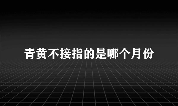 青黄不接指的是哪个月份