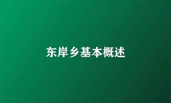 东岸乡基本概述