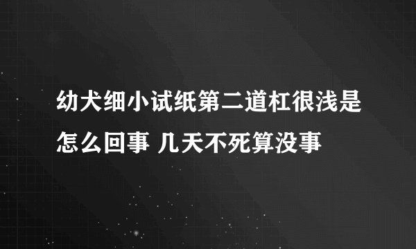 幼犬细小试纸第二道杠很浅是怎么回事 几天不死算没事