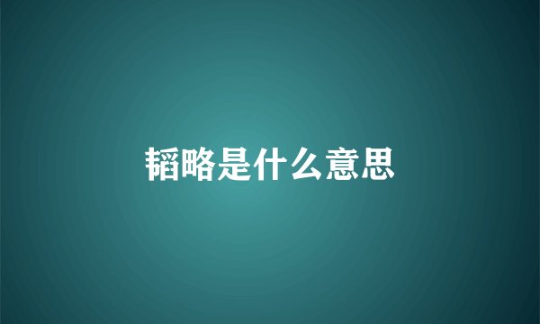 韬略是什么意思