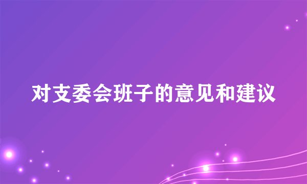 对支委会班子的意见和建议