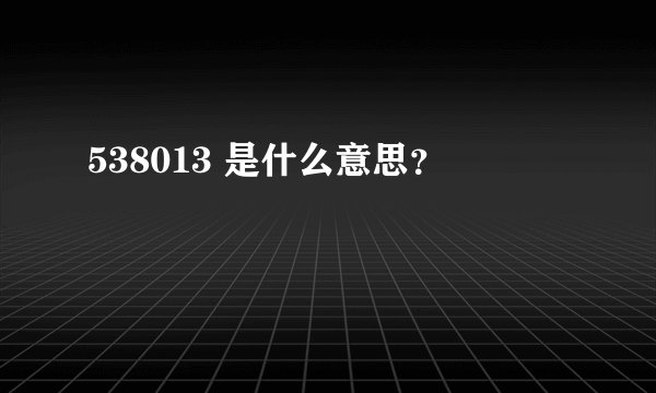 538013 是什么意思？
